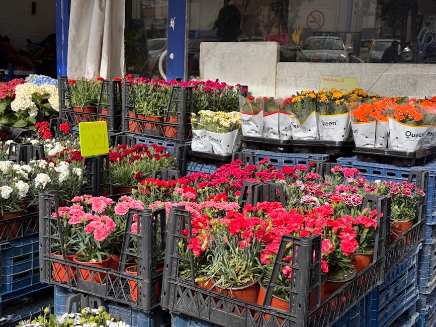 Outside floral display at a florist shop showing an assortment of vibrant potted flowers, including red, pink, white, yellow, and orange blooms, arranged in black plastic crates and white paper wrappi