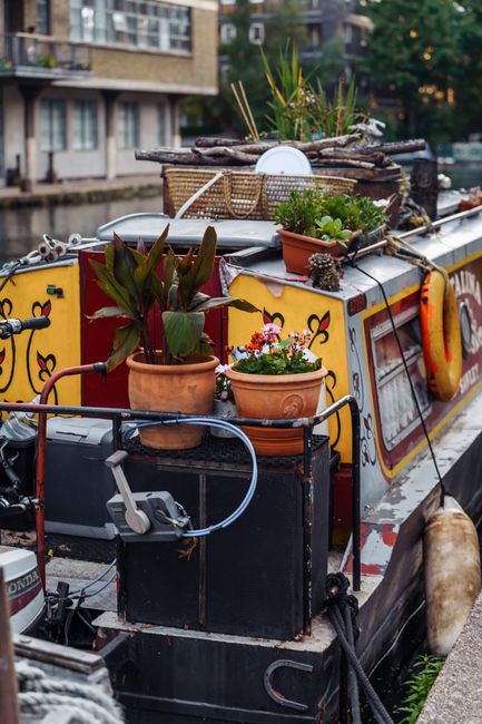 A flower delivery scene featuring an arrangement of fresh flowers on a narrowboat, with vibrant potted plants including green foliage and pink and red flowers, placed on the boat's roof and side. The
