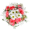 This bouquet, artfully composed with the joyful flair of a Shadwell florist, is a celebration of renewal and community spirit. Crisp white daisies with striking green centers rise above a cloud of delicately frilled coral-pink carnations, their subtle fragrance mingling with sprigs of fresh eucalyptus and gypsophila. Wisps of baby's breath, like tiny white lanterns, float between the larger blooms, adding an airy brightness reminiscent of dawn walks along The Highway. Peeking between verdant greens, slender alstroemeria buds with hints of rose and purple promise further bloom and vibrancy. The colours-clean, energetic, and sunlit-bring to life spring's optimism, making this arrangement a perfect choice to commemorate milestones, share thanks, or bring cheer to someone's day in Shadwell. With every detail carefully considered, it embodies the sophisticated, approachable beauty found throughout East London's finest floral boutiques.